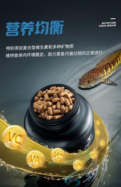 YEE雷龍魚飼料有哪些品種（yee雷龍魚飼料）