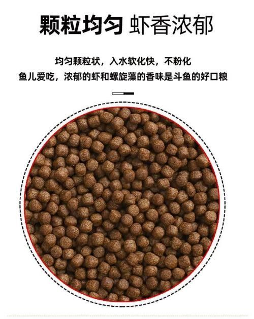 YEE雷龍魚飼料有哪些品種（yee雷龍魚飼料）
