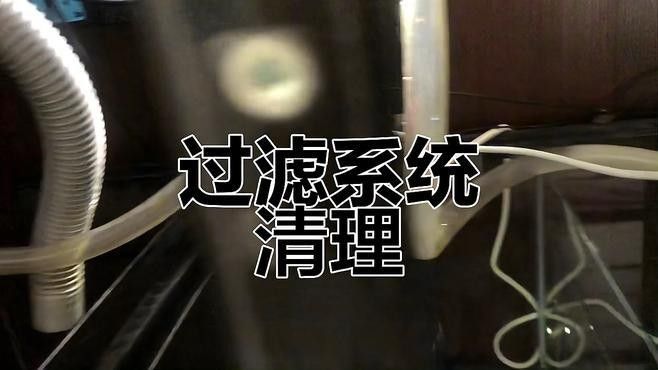 底濾系統如何設置和維護（養魚老道底濾系統保養秘籍職業打jia人在此聽）