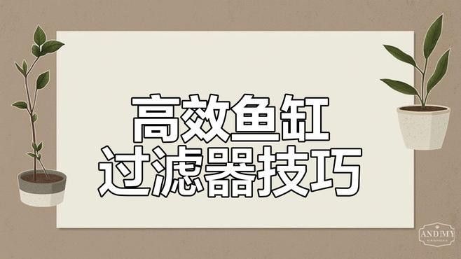 底濾系統如何設置和維護（養魚老道底濾系統保養秘籍職業打jia人在此聽）
