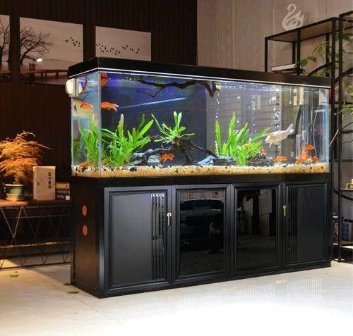 底濾系統如何設置和維護（養魚老道底濾系統保養秘籍職業打jia人在此聽）