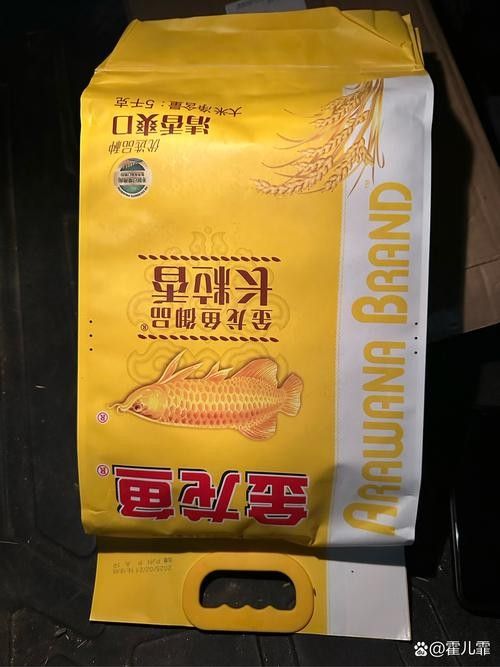 大冶龍魚是不是雜牌子（大冶龍魚和黃金湖甲魚有什么區別大冶龍魚和黃金湖甲魚有什么區別）