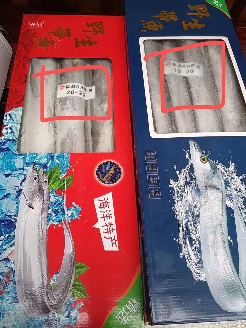 大冶龍魚是不是雜牌子（大冶龍魚和黃金湖甲魚有什么區別大冶龍魚和黃金湖甲魚有什么區別）