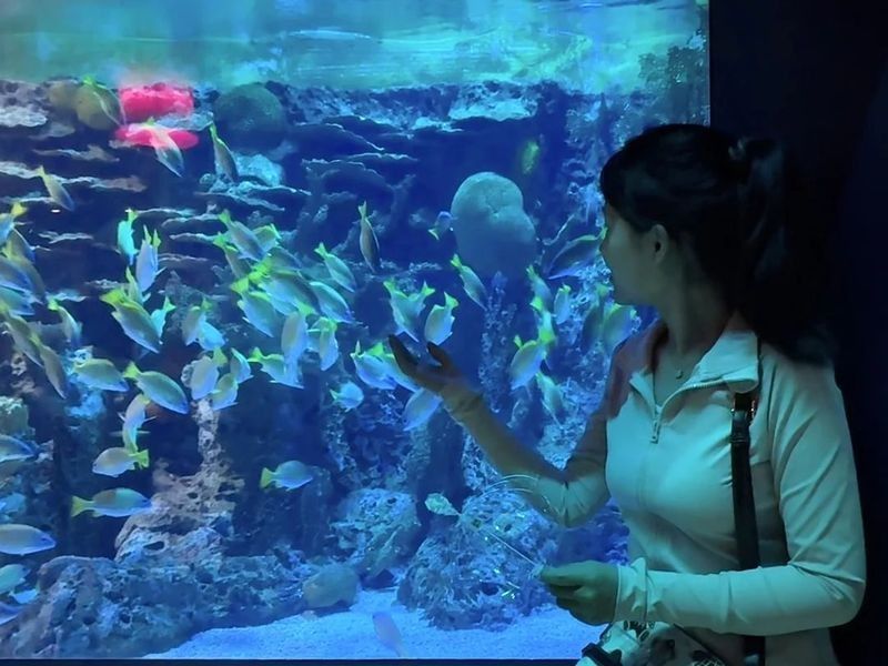 磐石哪個水族館龍魚好？祥龍魚場龍魚