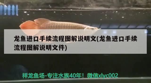 龍魚進口手續流程圖解說明文(龍魚進口手續流程圖解說明文件)
