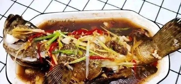 武清龍魚為何要少吃（武清龍魚為什么要少吃）