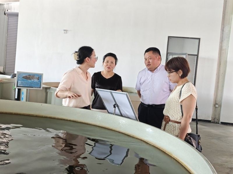 成武縣黨集鱘魚養殖電話多少