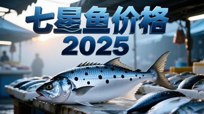 七星雷龍魚多少錢一只
