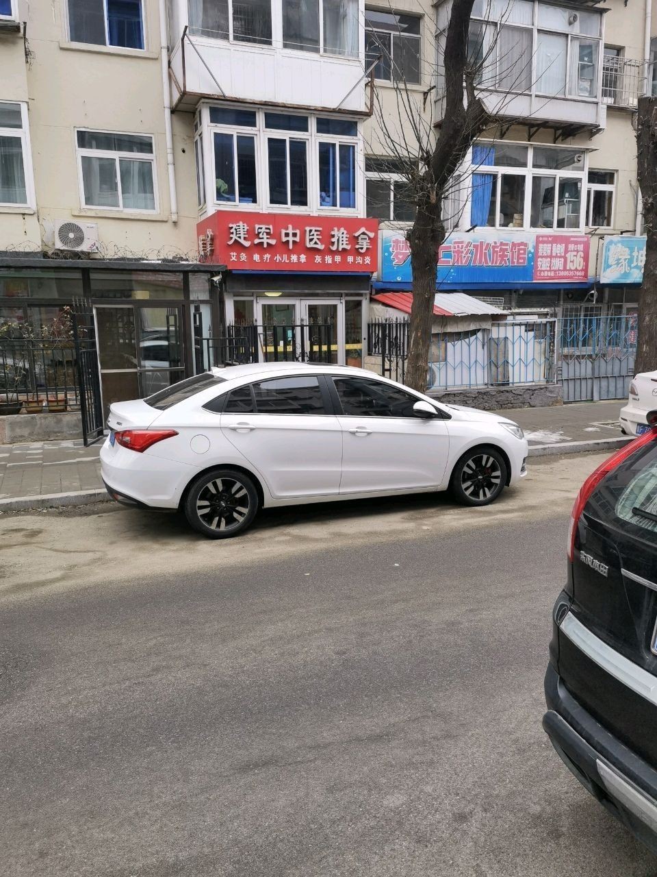 芝罘哪個水族館龍魚好？祥龍魚場龍魚