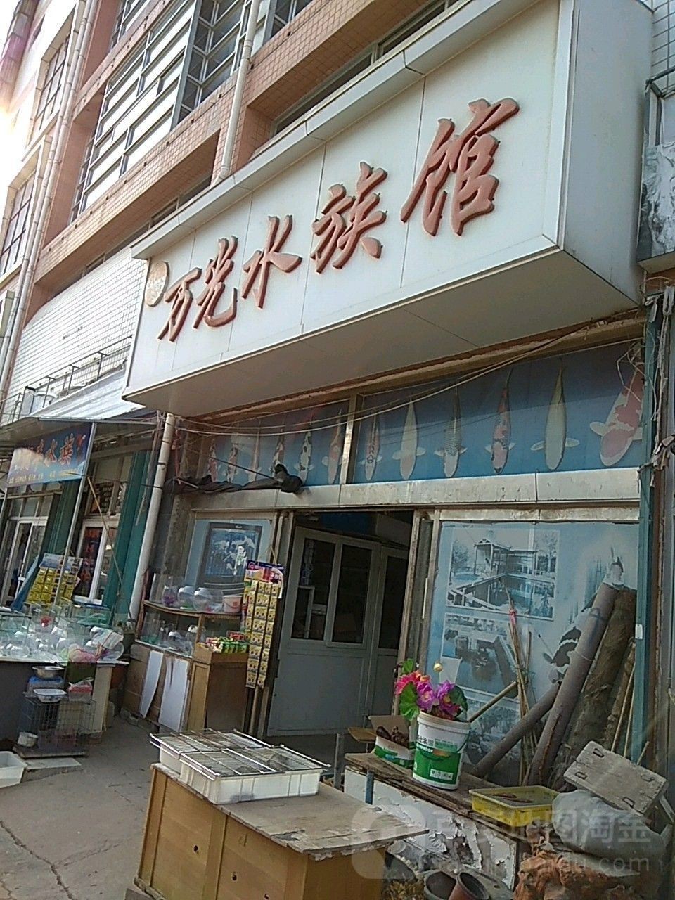 芝罘哪個水族館龍魚好？祥龍魚場龍魚