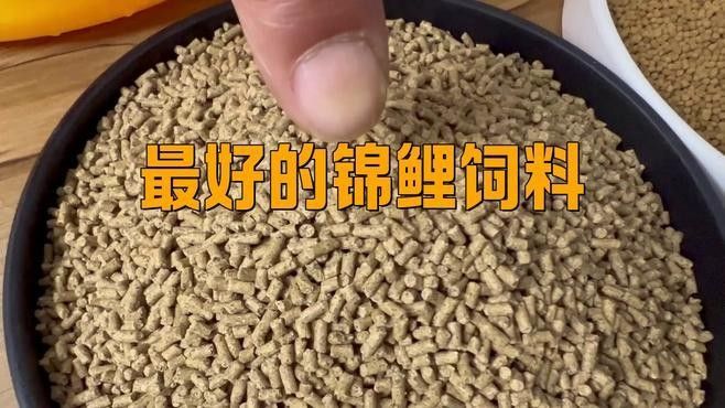 有哪些品牌的錦鯉飼料推薦？（廣受好評(píng)的錦鯉飼料品牌及代表產(chǎn)品及代表產(chǎn)品推薦）