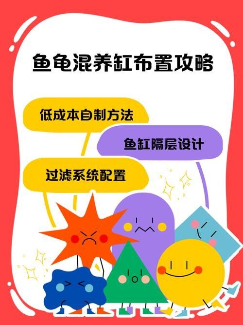 混養時如何減少沖突
