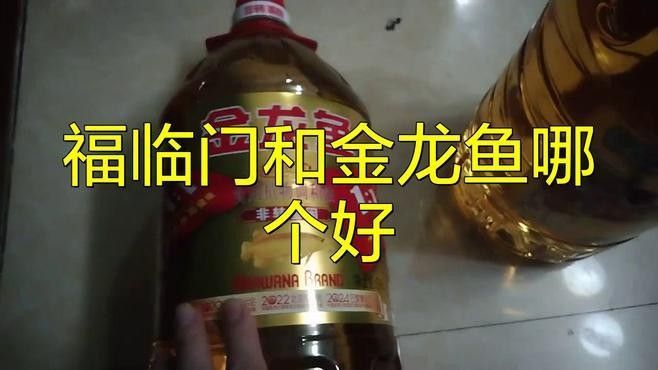 木蘭金龍魚是雜牌子嗎