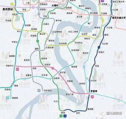 金龍魚小時(shí)候發(fā)黑還是發(fā)白