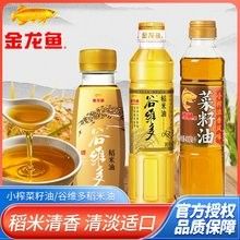金龍魚批發價格是多少（金龍魚批發價格因品種、規格和市場供需情況而異） 金龍魚批發價格是多少（金龍魚批發價格因品種、規格和市場供需情況而異） 龍魚百科 第9張