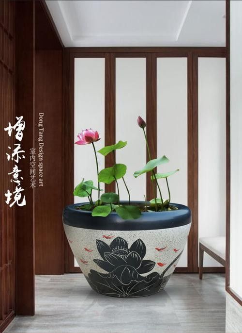 匯龍魚(yú)缸哪個(gè)系列最好（匯龍魚(yú)缸哪個(gè)系列最好匯龍魚(yú)缸哪個(gè)系列最好）