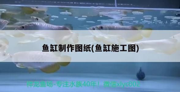 魚缸制作圖紙(魚缸施工圖)