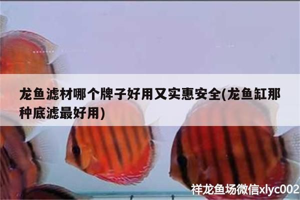 龍魚濾材哪個牌子好用又實惠安全(龍魚缸那種底濾最好用)