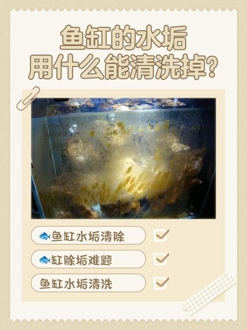 有哪些清洗魚缸的小妙招？（清洗魚缸的小妙招）