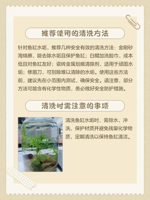 有哪些清洗魚缸的小妙招？（清洗魚缸的小妙招）