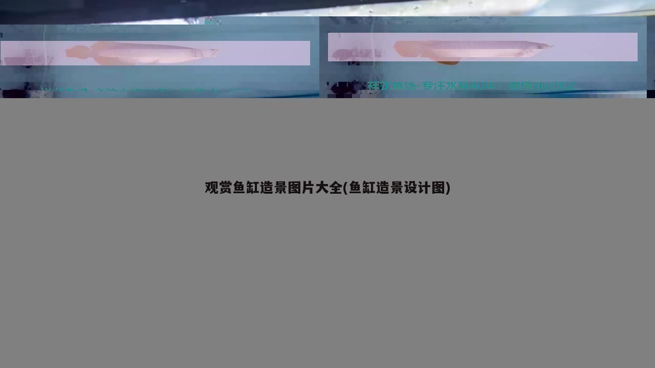 彩蝶魚缸標志是什么(彩蝶魚缸型號大全)（彩蝶魚缸標志是什么）