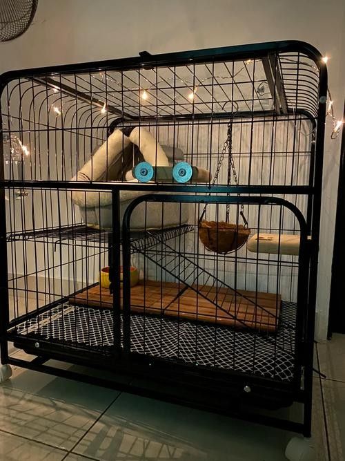 龍貓籠子有哪些品牌推薦(龍貓愛好者中廣受好評的龍貓籠子品牌推薦及信息) 龍魚百科 第6張 龍貓籠子有哪些品牌推薦(龍貓愛好者中廣受好評的龍貓籠子品牌推薦及信息) 龍貓籠子有哪些品牌推薦(龍貓愛好者中廣受好評的龍貓籠子品牌推薦及信息) 龍魚百科 第6張