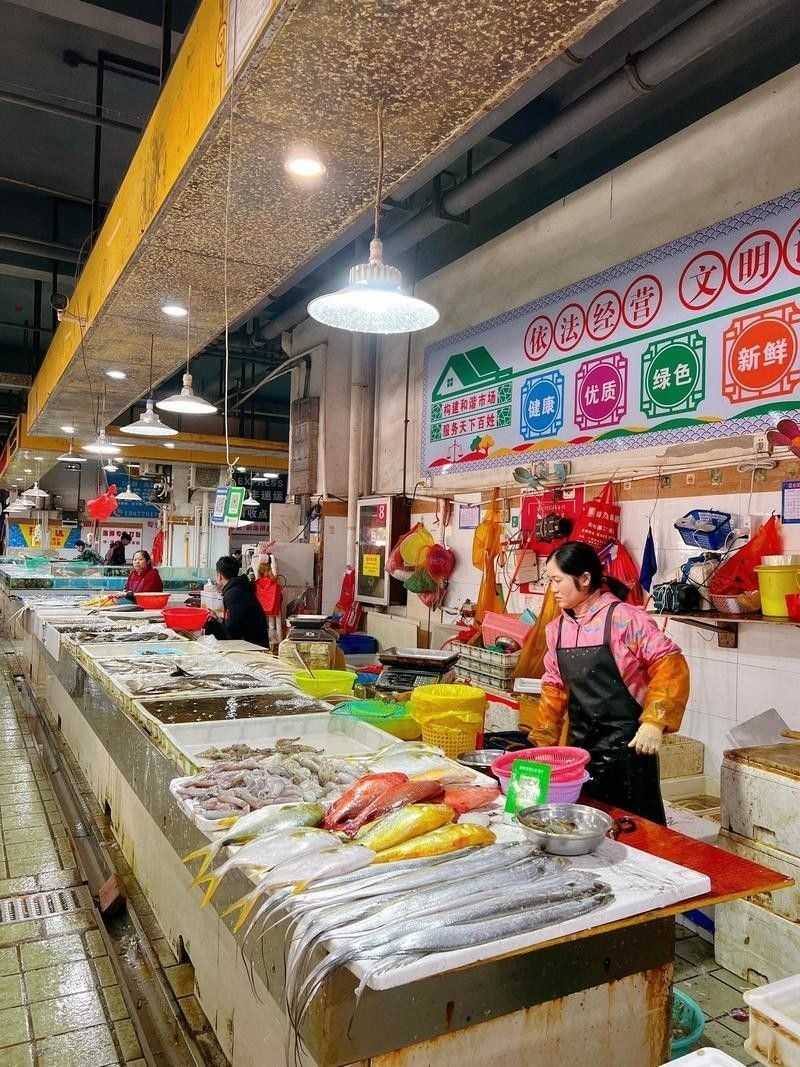 防城港金龍魚批發市場的地址在哪里？（防城港最大的批發市場在哪里？） 防城港金龍魚批發市場的地址在哪里？（防城港最大的批發市場在哪里？） 龍魚百科 第6張