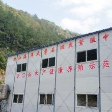 磐安紅龍魚（磐安紅龍魚好養嗎，） 磐安紅龍魚（磐安紅龍魚好養嗎，） 觀賞魚百科 第13張