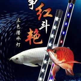龍魚缸燈具價格范圍