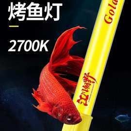 龍魚缸燈具價格范圍