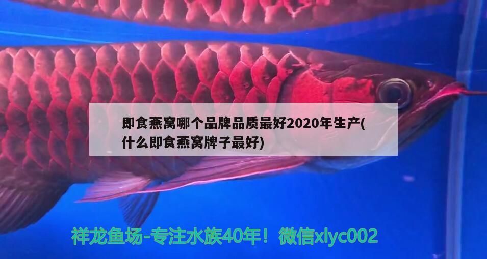 即食燕窩哪個品牌品質(zhì)最好2020年生產(chǎn)(什么即食燕窩牌子最好)