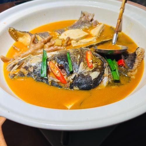 婁底九龍魚頭的招牌菜有哪些（婁底九龍魚頭招牌菜的簡要介紹）