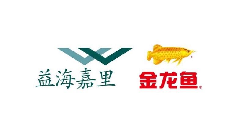 潮州金龍魚鴿業(yè)的成立時(shí)間（潮州金龍魚鴿業(yè)在潮州的規(guī)模有多大？）