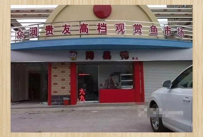 哪里可以購買到這些稀有品種（京津冀花鳥魚蟲市場全攻略京津冀花鳥魚蟲市場全攻略）