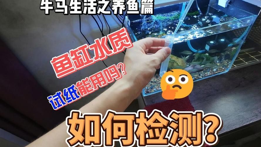 凱龍魚缸有哪些常見故障？（凱龍魚缸可能遇到的一些常見問題）