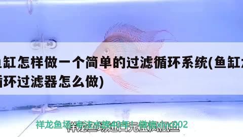 魚缸怎樣做一個(gè)簡單的過濾循環(huán)系統(tǒng)(魚缸水循環(huán)過濾器怎么做)