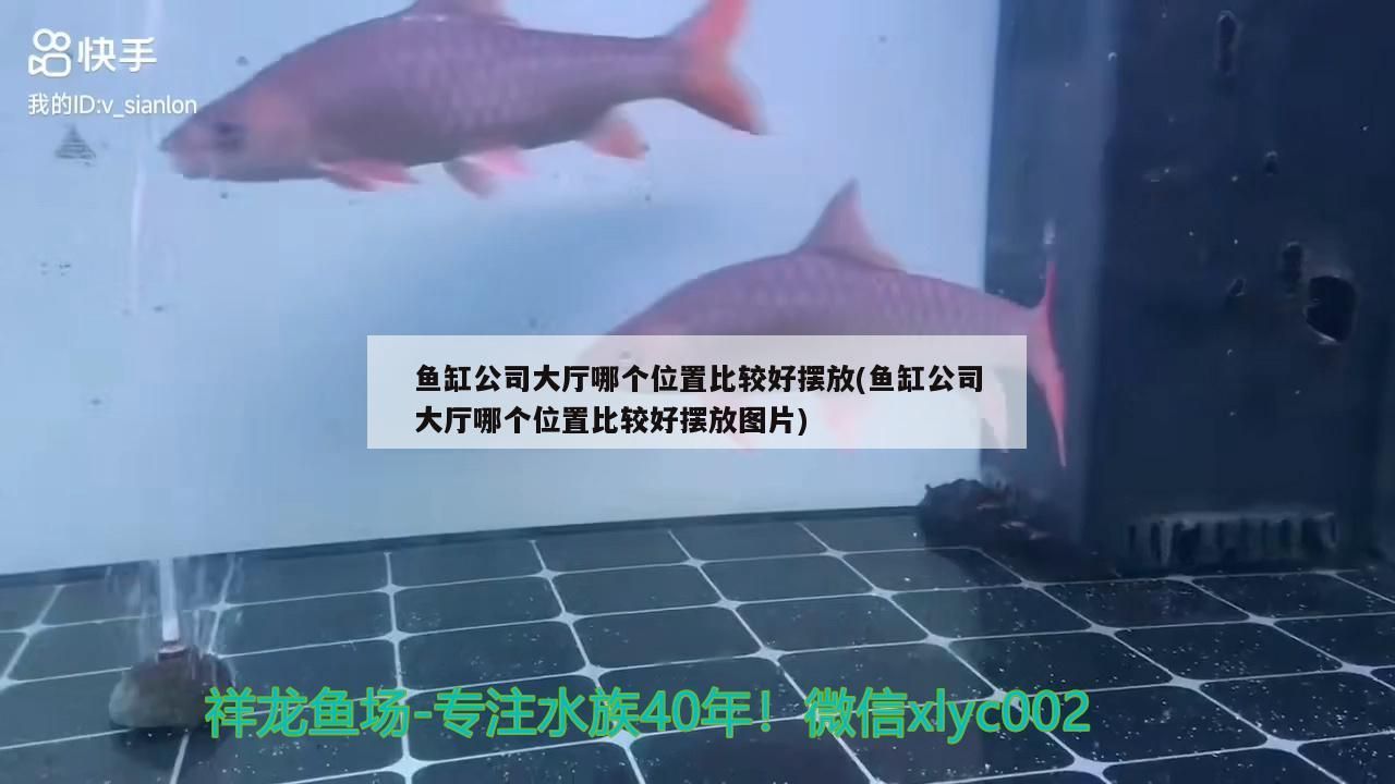 魚缸公司大廳哪個位置比較好擺放(魚缸公司大廳哪個位置比較好擺放圖片)（辦公室的魚缸可以擺放在什么方位）