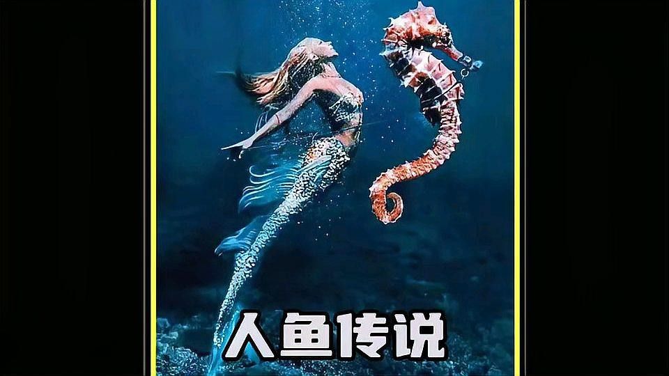 龍魚傳說電影的主要演員有哪些（《加勒比之龍魚傳說》的主要演員包括《人魚傳說》的主要演員）