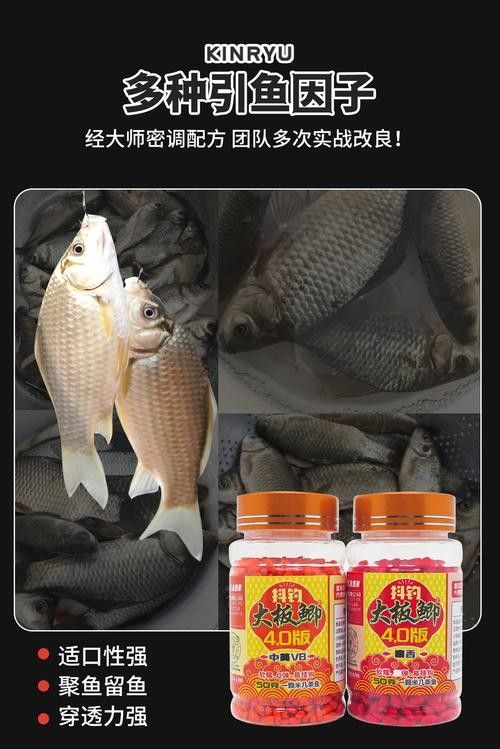 金龍魚需要使用什么魚餌（金龍魚喂什么最好金龍魚飼料排行榜前十名澳味轟轟羊）