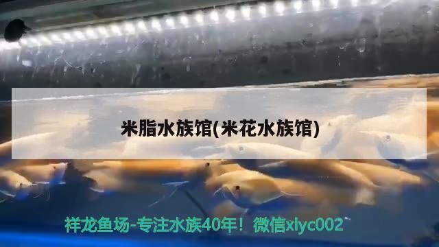 <strong><mark>米脂</mark></strong>水族館(米花水族館)