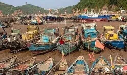 如何評估海龍魚禁令的效果（淺論海龍魚禁令實施后的具體數據） 如何評估海龍魚禁令的效果（淺論海龍魚禁令實施后的具體數據） 龍魚百科 第2張