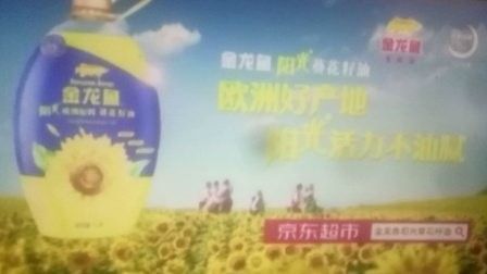 金龍魚葵花籽油廣告（金龍魚葵花籽油廣告以“陽光活力”為核心賣點）