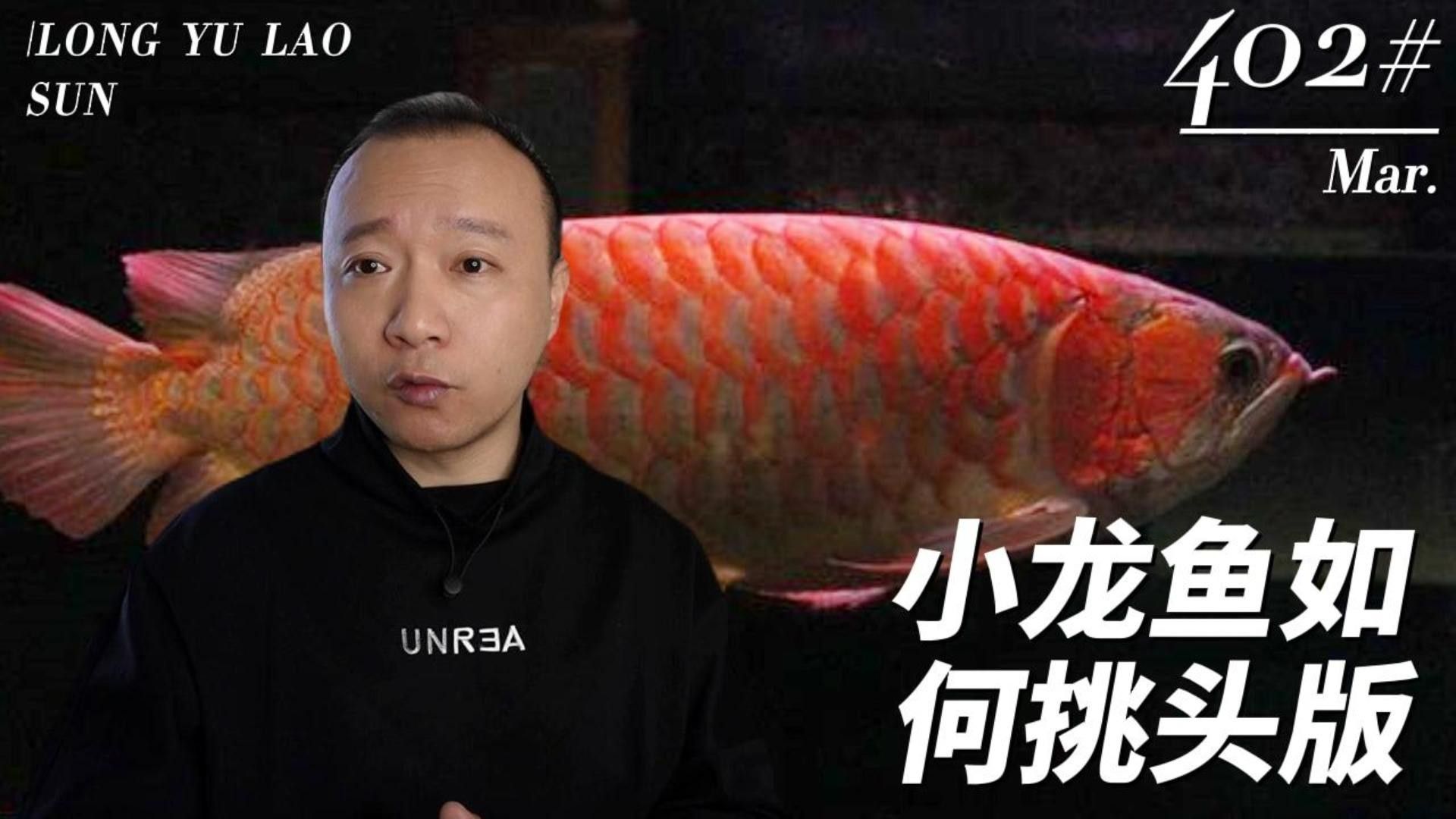 如何判斷小龍魚是否新鮮（如何判斷小龍魚是否新鮮？）