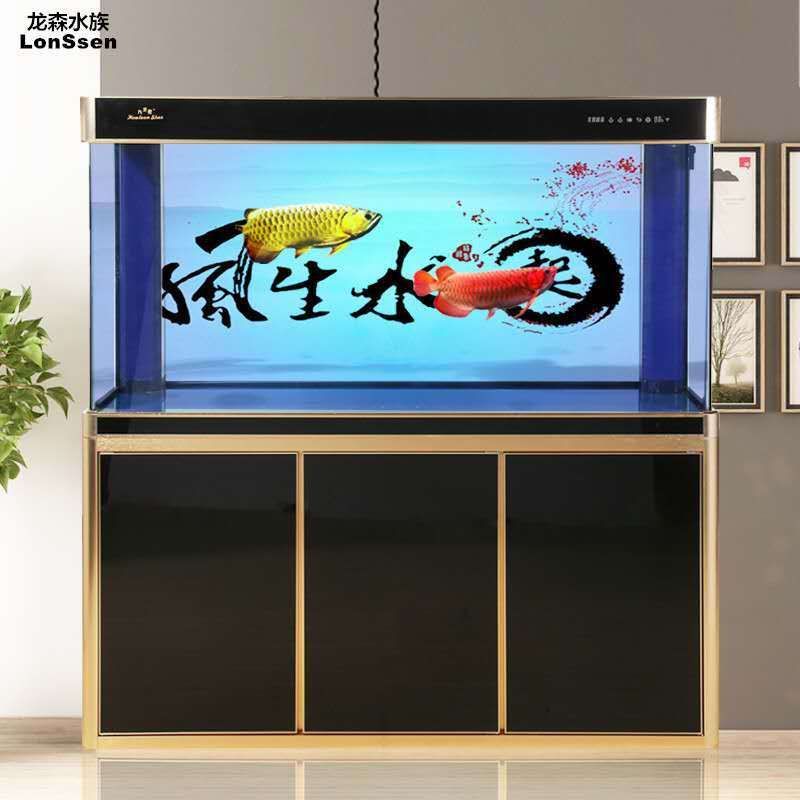 1米2寬50高50龍魚缸（1米2寬50厘米高60厘米的魚缸能養龍魚嗎）