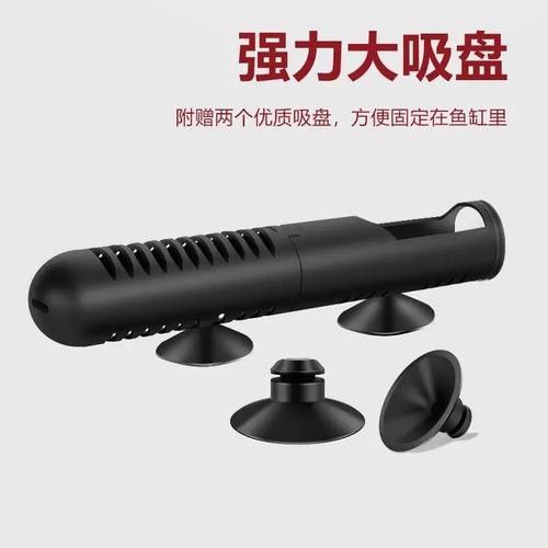 江陵金龍魚屬于什么檔次