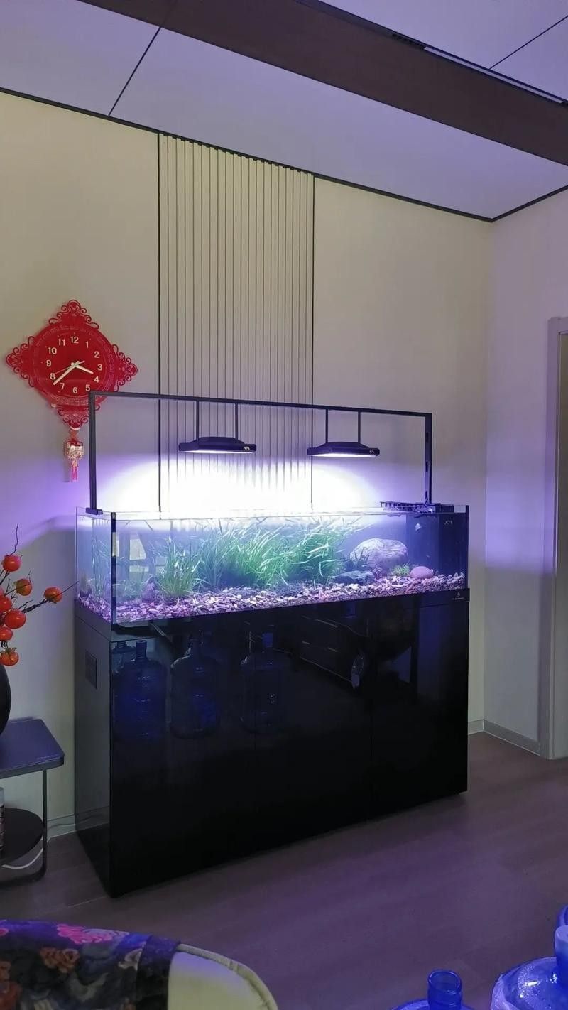 紅龍什么顏色最吉利，紅龍什么顏色最旺財紅龍什么顏色最旺財紅龍什么顏色最旺財