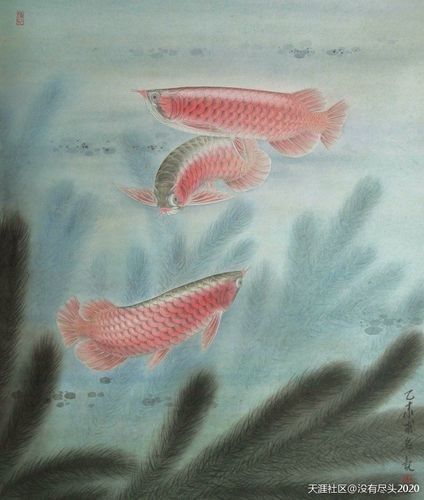 紅龍魚水墨風(fēng)格壁紙示例（紅龍魚水墨風(fēng)格壁紙）