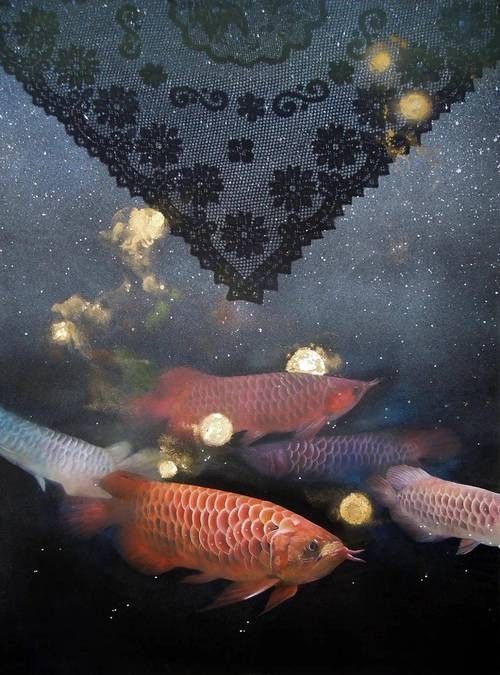 紅龍魚水墨風(fēng)格壁紙示例（紅龍魚水墨風(fēng)格壁紙）