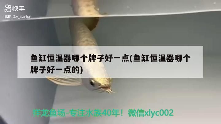魚缸恒溫器哪個牌子好一點(魚缸恒溫器哪個牌子好一點的)（魚缸恒溫器哪個牌子好）