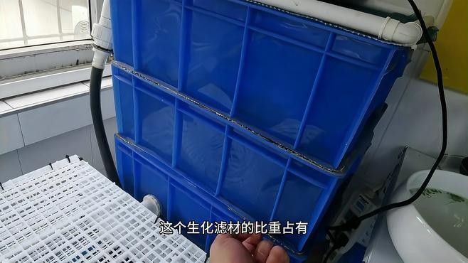 生化過濾層多久清洗一次？（奧利仕魚池過濾棉多久換一次魚缸過濾棉多久清洗一次）